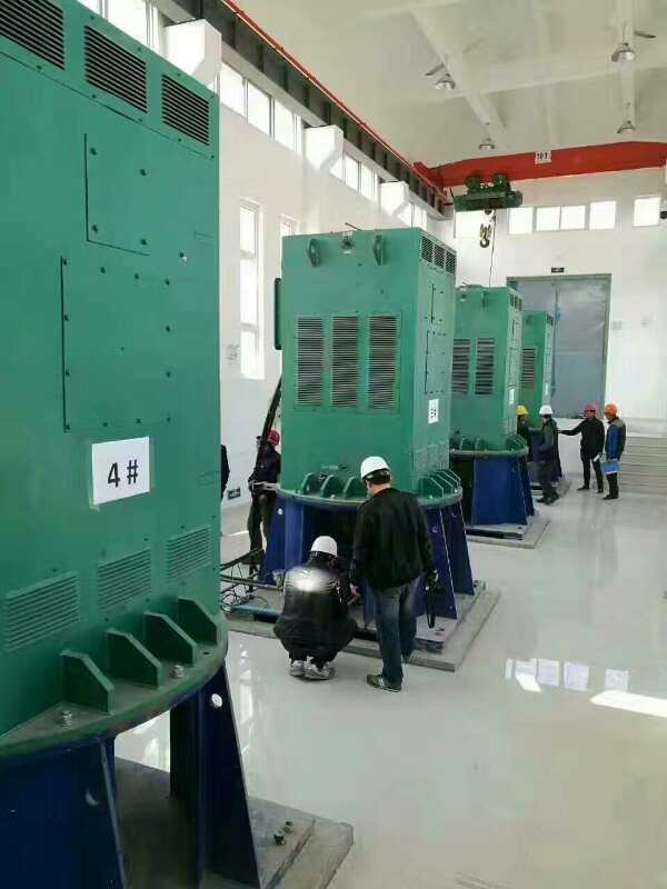 公坡镇某污水处理厂使用我厂的立式高压电机安装现场
